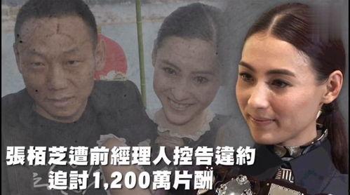 娱乐性吃瓜,揭秘明星们的“吃瓜”大作战  第1张