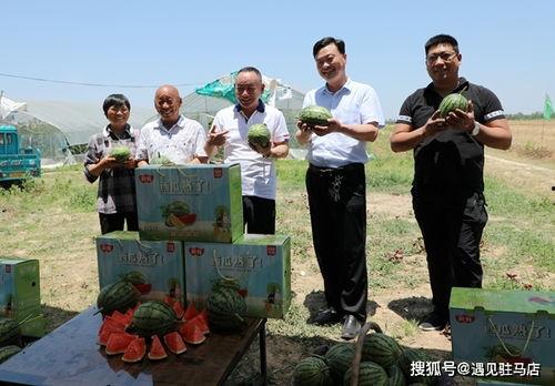 娱乐吃瓜小八哥是谁,网络红人的崛起之路  第2张