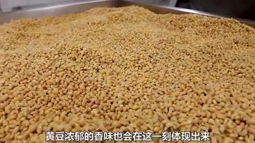 豆瓣酱生产爆料视频播放,传统工艺与现代技术的完美融合  第2张