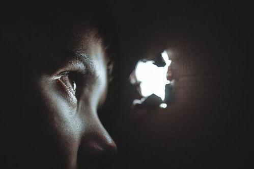 失踪男孩爆料视频播放,视频播放背后的惊人真相