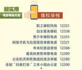 武汉爆料新闻电话号码,揭秘城市脉搏的守护者